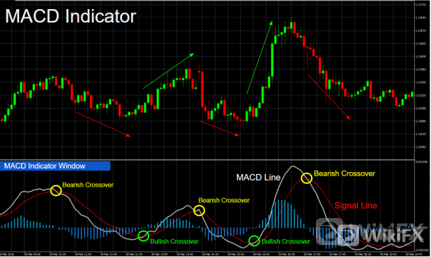 MACD是什么意思？外汇交易MACD技术指标详解